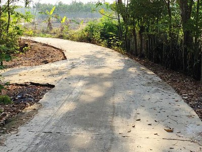 Chính chủ cho thuê căn hộ 2N1K tại phố chùa láng 5523