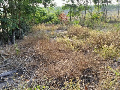 Chính chủ cho thuê căn hộ 2N1K tại phố chùa láng 5524