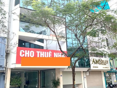 Chính chủ cho thuê căn hộ 2N1K tại phố chùa láng 6371