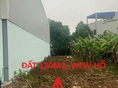 Chính chủ cho thuê căn hộ 2N1K tại phố chùa láng 6135