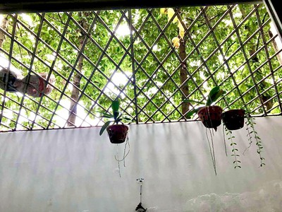 Chính chủ cho thuê căn hộ 2N1K tại phố chùa láng 6567