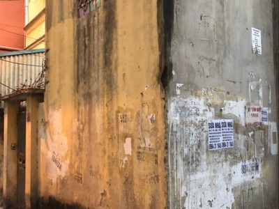 Chính chủ cho thuê căn hộ 2N1K tại phố chùa láng 6804