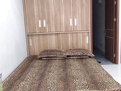 Chính chủ cho thuê căn hộ 2N1K tại phố chùa láng 6587