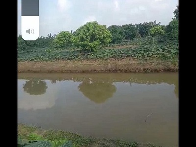 Chính chủ cho thuê căn hộ 2N1K tại phố chùa láng 5475