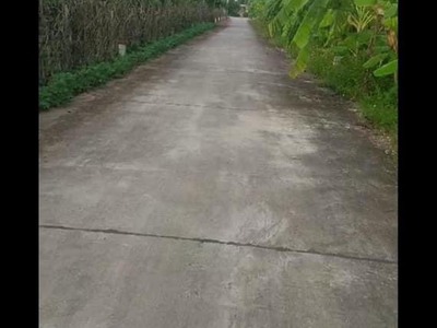 Chính chủ cho thuê căn hộ 2N1K tại phố chùa láng 5472