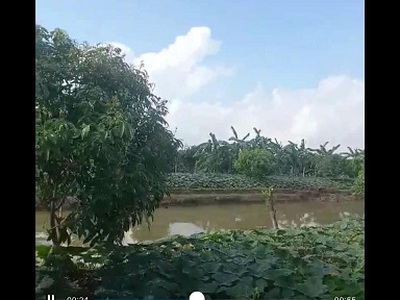 Chính chủ cho thuê căn hộ 2N1K tại phố chùa láng 5473