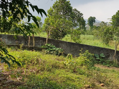 Chủ cần tiền bán cắt lỗ lô đất diện tích 914m2 với giá chỉ hơn 2 tỷ thôi a, địa chỉ vân hòa, ba vì, 3