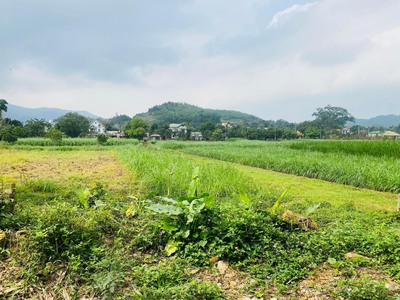 Chủ cần tiền bán cắt lỗ lô đất diện tích 914m2 với giá chỉ hơn 2 tỷ thôi a, địa chỉ vân hòa, ba vì, 1