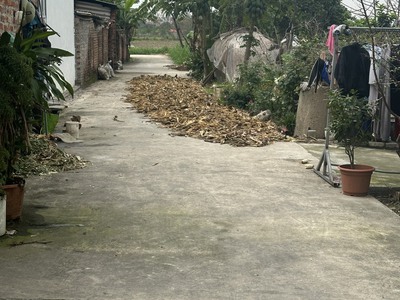 Chính chủ nhờ bán nhà cấp bốn 64,5m quảng hội,quang tiến,sóc sơn. tiện ích: -diện tích 64,5m , 4