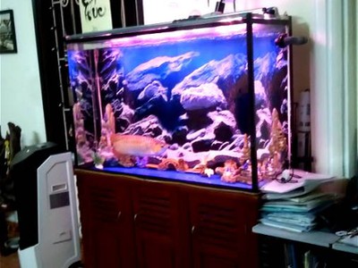 Chính chủ cho thuê căn hộ 2N1K tại phố chùa láng 8091