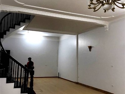 Chính chủ cho thuê căn hộ 2N1K tại phố chùa láng 7626