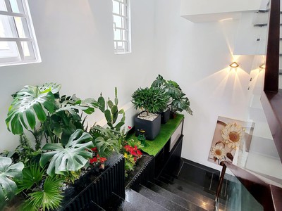 Kiệt ô tô 7m thông - nhà đẹp 4 tầng rộng 6m nguyễn hữu thọ, đà nẵng - chỉ 4 tỷ 380 1