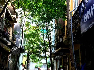 Chính chủ cho thuê căn hộ 2N1K tại phố chùa láng 7483