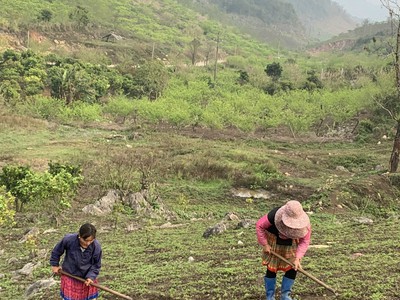 Chính chủ cho thuê căn hộ 2N1K tại phố chùa láng 7607