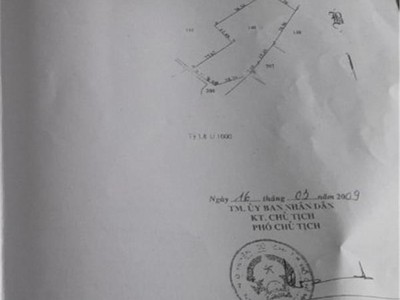 Cần bán gấp 2 lô 3369  m    tại  xã tân an hội  huyện củ chi, tp.hcm 1