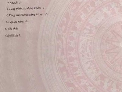 Chính chủ cho thuê căn hộ 2N1K tại phố chùa láng 8166