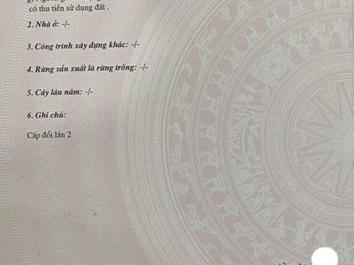 Chính chủ cho thuê căn hộ 2N1K tại phố chùa láng 8149