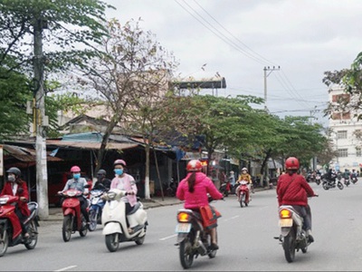 Chính chủ cho thuê căn hộ 2N1K tại phố chùa láng 9205