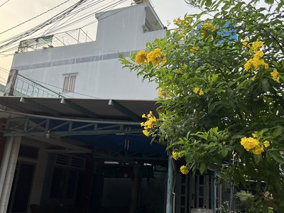 Chính chủ cho thuê căn hộ 2N1K tại phố chùa láng 9376