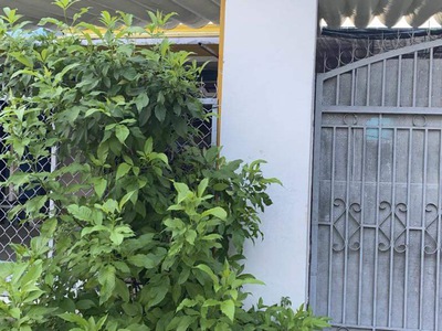 Chính chủ cho thuê căn hộ 2N1K tại phố chùa láng 8543