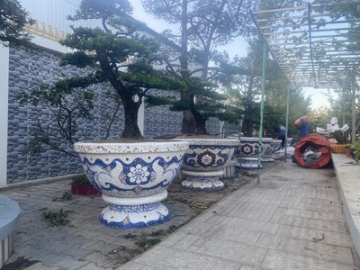 Cơ sở chậu hoa Thế Sơn - chậu hoa dán sành sứ - chậu khảm sành - cẩn miễng fs 10