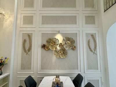  Biệt thự Châu Âu full nội thất cao cấp  3