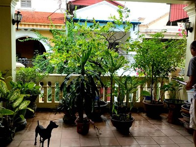 Chính chủ cho thuê căn hộ 2N1K tại phố chùa láng 10361