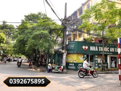 Chính chủ cho thuê căn hộ 2N1K tại phố chùa láng 10034