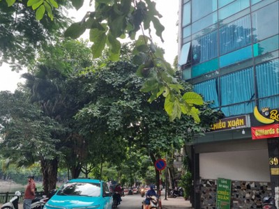 Chính chủ cho thuê căn hộ 2N1K tại phố chùa láng 10225