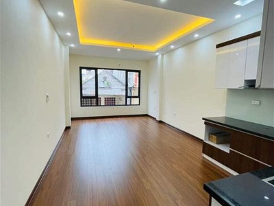 Chính chủ cho thuê căn hộ 2N1K tại phố chùa láng 10779