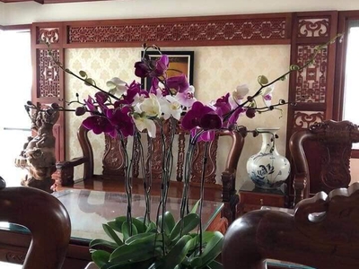 Chính chủ cho thuê căn hộ 2N1K tại phố chùa láng 9421