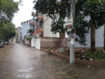 Chính chủ cho thuê căn hộ 2N1K tại phố chùa láng 10402