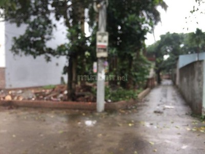Chính chủ cho thuê căn hộ 2N1K tại phố chùa láng 10400