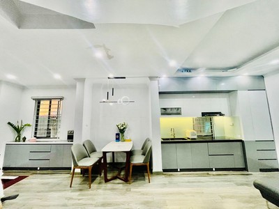 Chính chủ cho thuê căn hộ 2N1K tại phố chùa láng 10133
