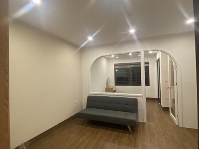 Chính chủ cho thuê căn hộ 2N1K tại phố chùa láng 10301
