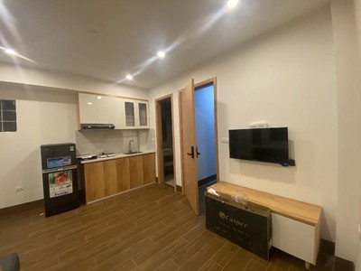 Chính chủ cho thuê căn hộ 2N1K tại phố chùa láng 10300