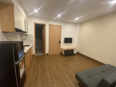 Chính chủ cho thuê căn hộ 2N1K tại phố chùa láng 10252