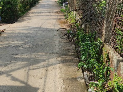 Chính chủ cho thuê căn hộ 2N1K tại phố chùa láng 9501