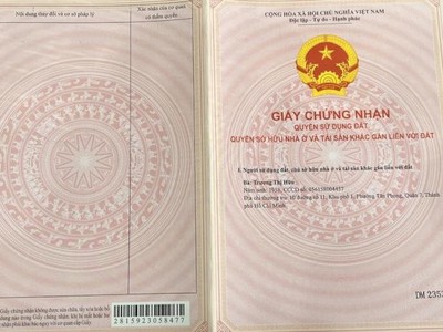 Chính chủ cho thuê căn hộ 2N1K tại phố chùa láng 10071