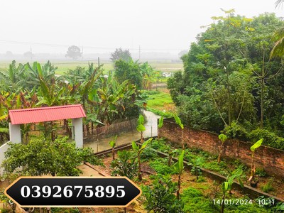 Chính chủ cho thuê căn hộ 2N1K tại phố chùa láng 11832