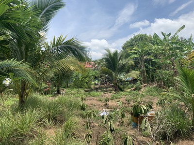 Cần bán 2 lô đất nền tại tỉnh kiên giang và tỉnh an giang 0