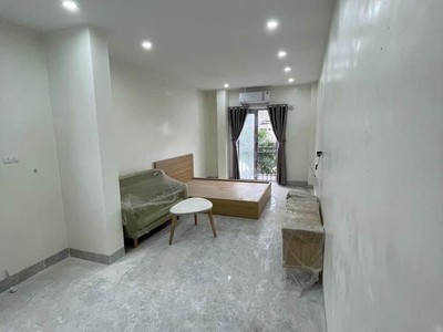 Chính chủ cho thuê căn hộ 2N1K tại phố chùa láng 11326