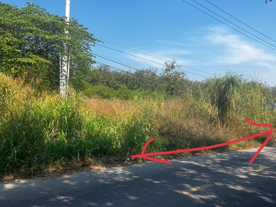 Chính chủ cho thuê căn hộ 2N1K tại phố chùa láng 11152