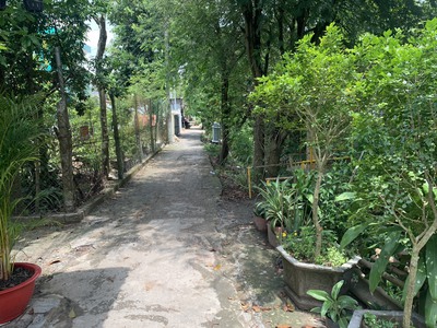 Cần bán 2 lô đất nền tại tỉnh kiên giang và tỉnh an giang 1