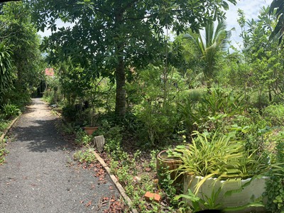 Cần bán 2 lô đất nền tại tỉnh kiên giang và tỉnh an giang 2