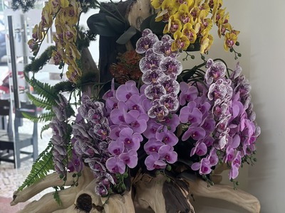 Bán  gốc trầm hương cao 130cm ngang120cm 0