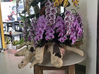 Bán  gốc trầm hương cao 130cm ngang120cm 1