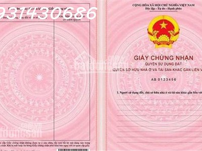 Chính chủ cho thuê căn hộ 2N1K tại phố chùa láng 12395