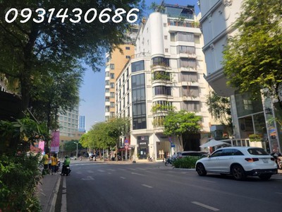 Chính chủ cho thuê căn hộ 2N1K tại phố chùa láng 12446