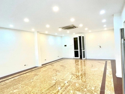Chính chủ cho thuê căn hộ 2N1K tại phố chùa láng 13598